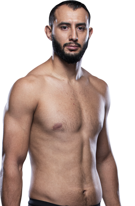 Dominick Reyes's picture