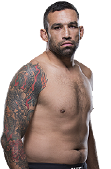 Fabrício Werdum's picture