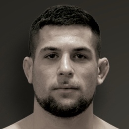Diego Visanzay's picture