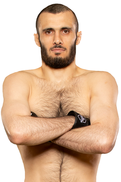 Islam Mamedov's picture